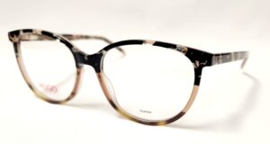 Hugo Boss HG1137