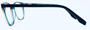 EasyView JM119
